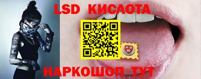шишки Заволжье