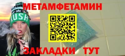 шишки Заволжье