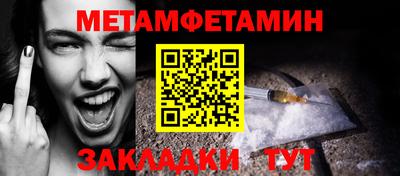 шишки Заволжье