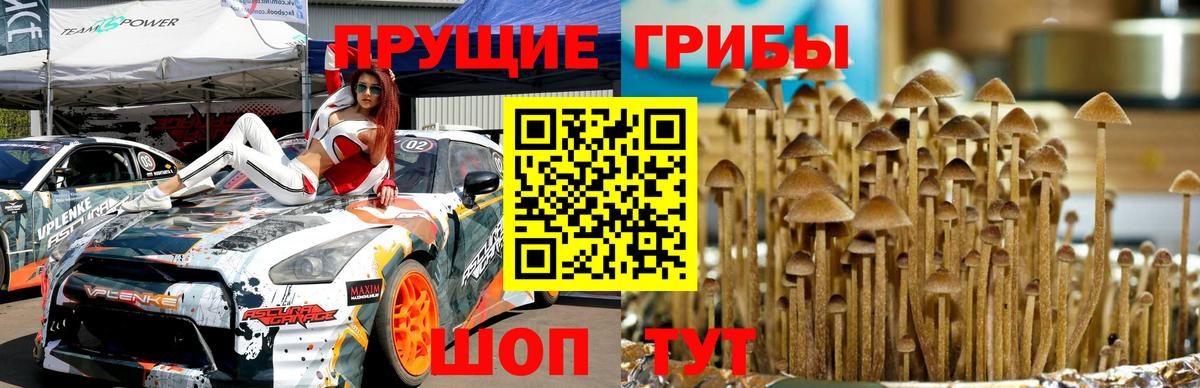 Псилоцибиновые грибы прущие грибы Магнитогорск